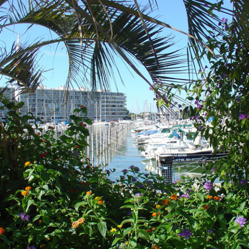 Port de Carnon