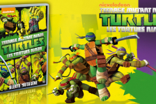 Concours Turtles Ninjaa - fev 2015
