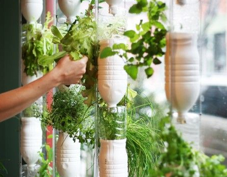 Un potager sans jardin