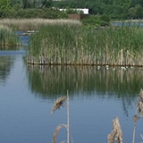 Parc des Chanteraines