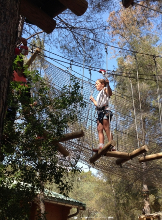 Cassis Forest