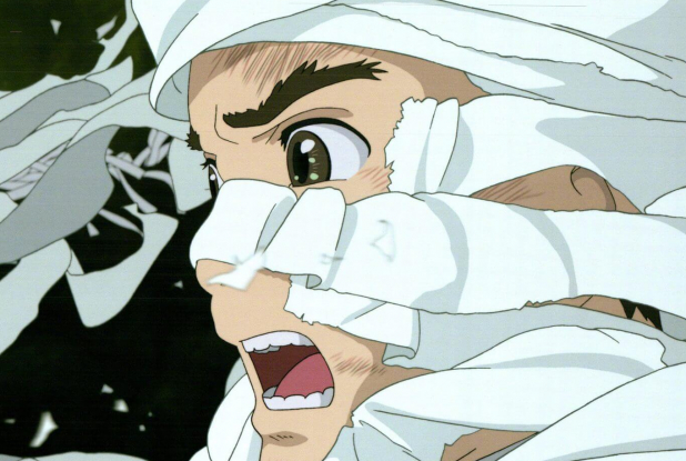 Le Garçon et le Héron : bandages