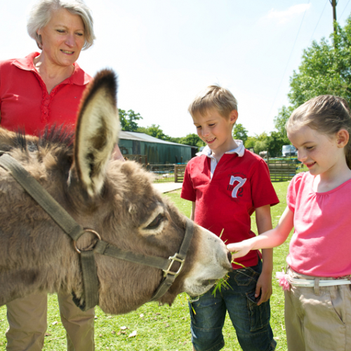 Ferme pédagogique Le Moulin du Bois