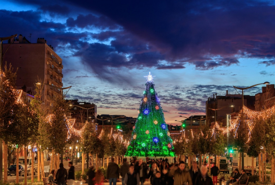 Sapin de Noël lumineux dans le Ville de Toulouse