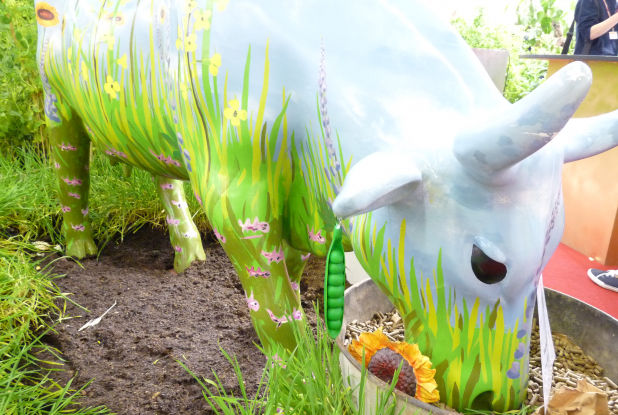 Salon de l'agriculture