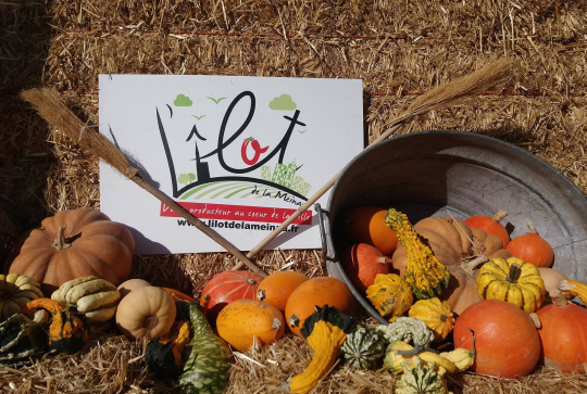 Cueillette de l'Îlot de La Meinau