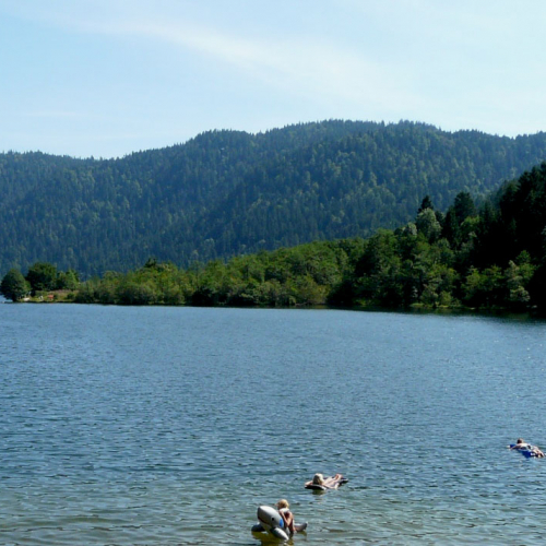 Lac de Longemer - Camping Lorraine