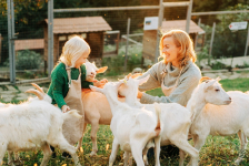 Top des fermes près de Nice : Visite d'une chèvrerie en famille