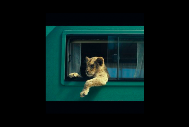 King : première image