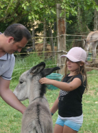 Asinerie d'Embazac : fillette caresse âne