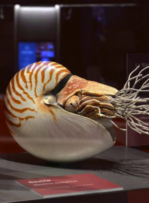 Expo : Éternité, rêve humain et réalités de la science