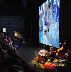 Gazouilly petit oiseau