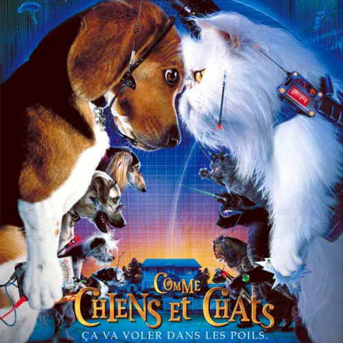 Comme chiens et chats - affiche film