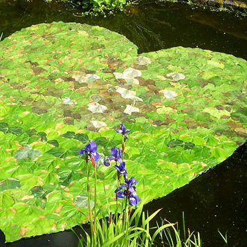 Expo Art'Terre par Sally Ducrow