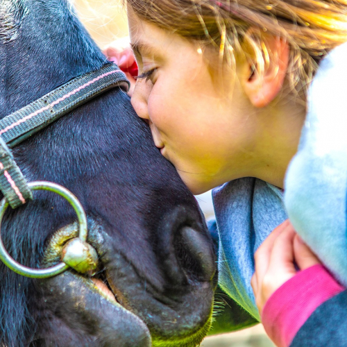 Hippodrome de Paris : enfant et cheval