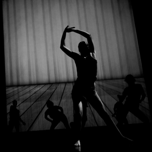 Le Studio de la Danse