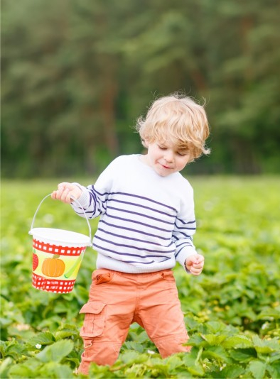 Cueillette en famille