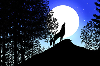 Contes de la nuit - Michel Ocelot