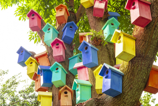 Bricolage : fabriquez une cabane à oiseaux avec les enfants - Nichoir manoir