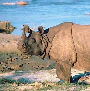Zoo du Bassin d'Arcachon