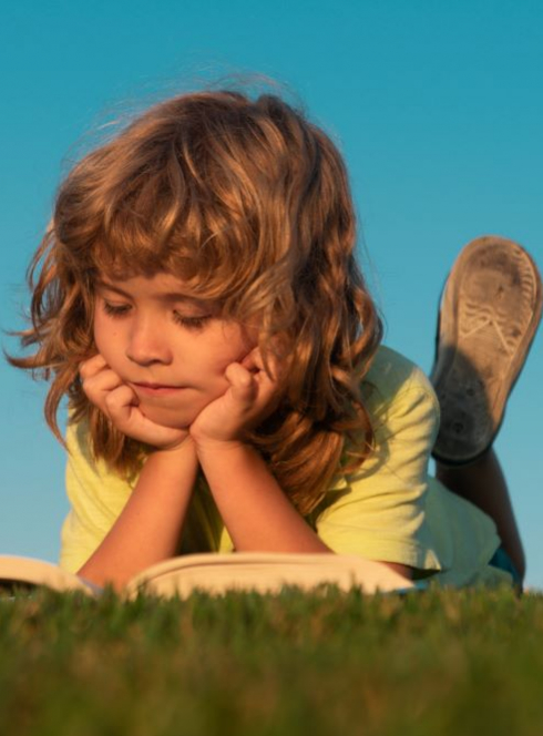 La cabane à livres - Nice