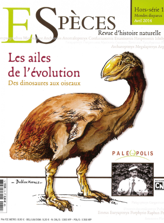 Hors-série Espèces : Les ailes de l'évolution