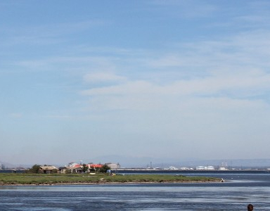 Festival Deltaïques