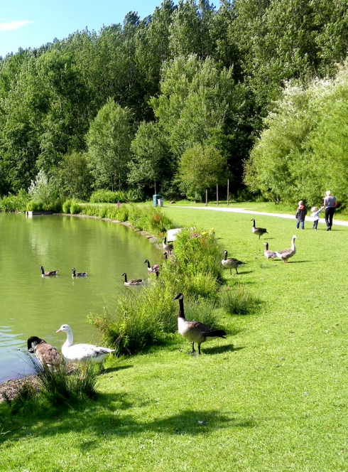 Parcs Pour Enfant Sorties En Famille A Lille Et Autour Citizenkid