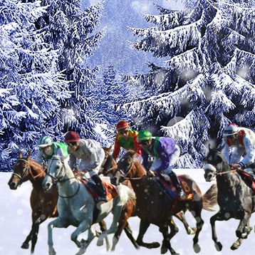 Noël 2019 à l'Hippodrome de Toulouse