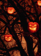 L'Arbre d'Halloween par Ray Bradbury