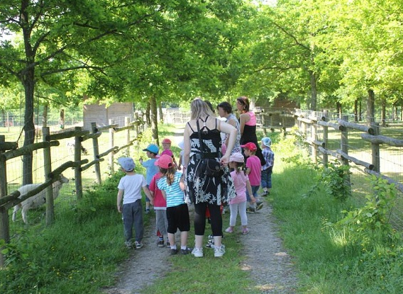 Promenons-nous dans les bois