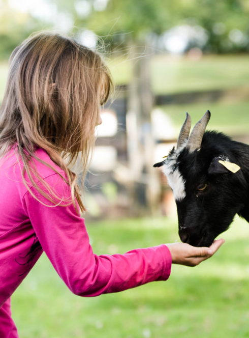 Fermes pédagogiques Strasbourg