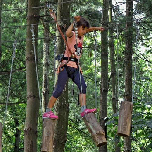 Petite fille accrobranche