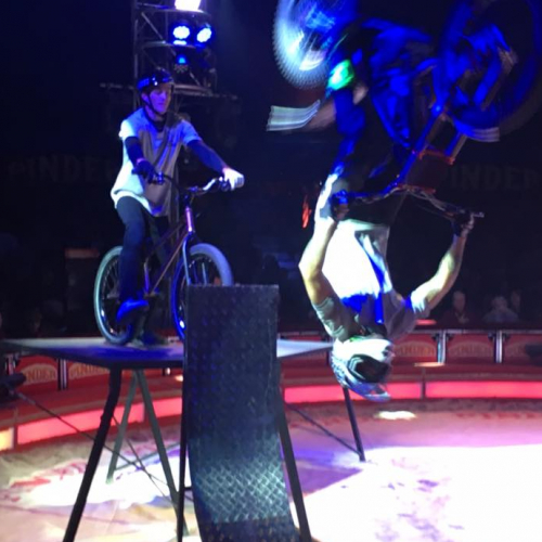 Cirque Pinder 2020 - La légende continue