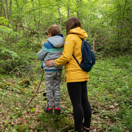 Rendez-vous nature à la Forêt de la Comté