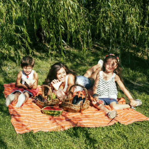 Top des parcs pour un pique-nique en famille à Rennes