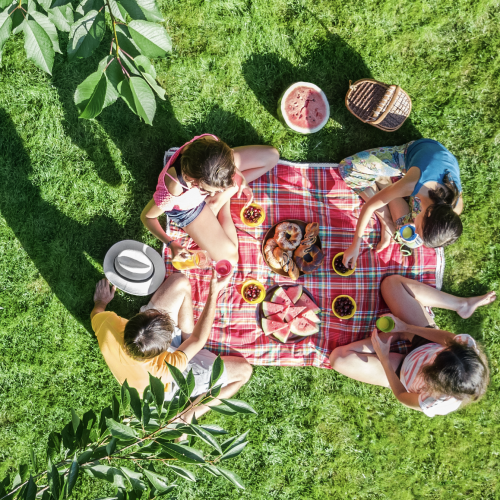 Top des parcs pour une pique-nique à Montpellier