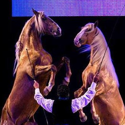 Fête du cheval de Levens 2021