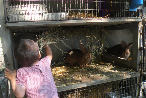 La Ferme de Paillac : soin des animaux