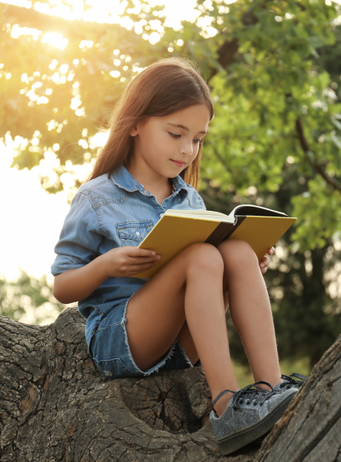 Partir en livre Strasbourg