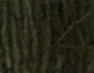 Ma Grand-Mère et moi 2014 28