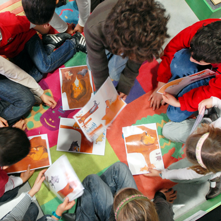 Les activités permanentes du Muséum de Toulouse