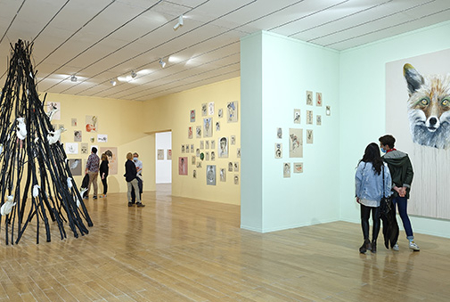 Installation Edi Dubien