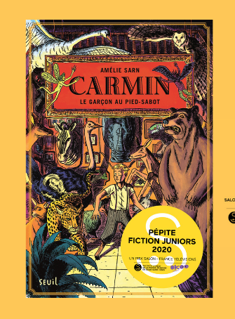 Carmin - roman
