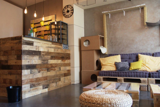 Bienvenue chez Cat & Cake