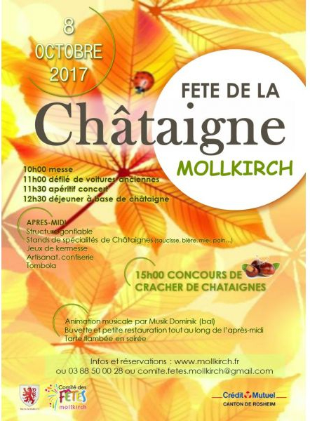Fête de la châtaigne - Affiche 2017