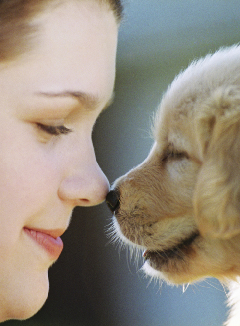 ZooMania 2013 : la salon des animaux de compagnie