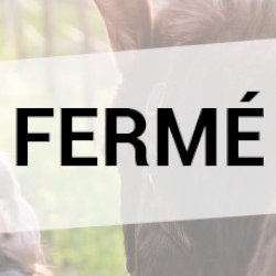 Le havre aux ânes FERMÉ