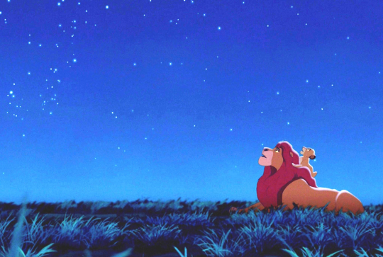 Observation des étoiles - Anniversaire Roi Lion