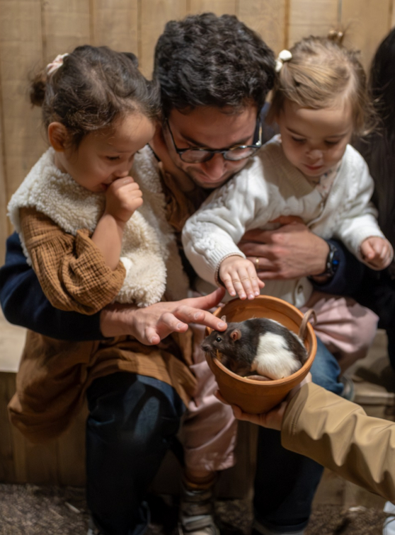 Le Monde de Noé Lille : rat